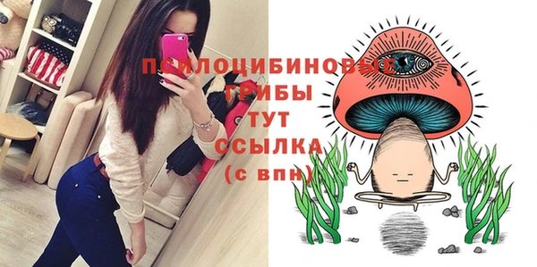 a pvp Вяземский