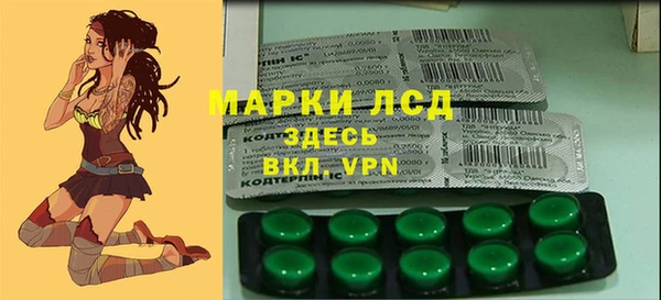 твердый Вязьма