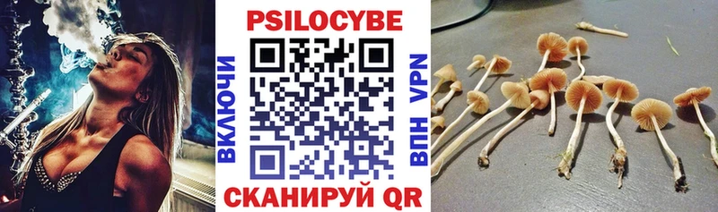 Галлюциногенные грибы мицелий  omg ссылки  Гагарин 